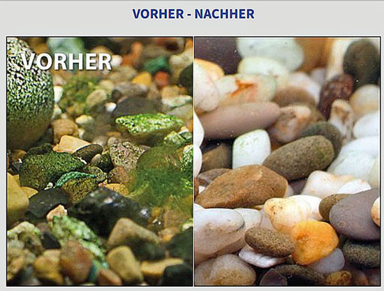 vorher-nachher-550px