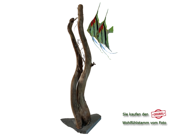 Diskus Wohlfühlstamm Original Nr.162 Höhe 53cm