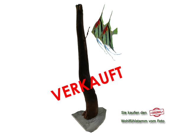 Diskus Wohlfühlstamm Original Nr.24 Höhe 59cm