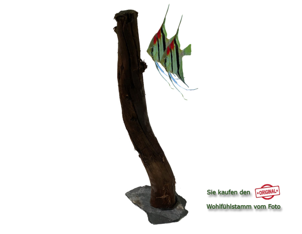 Diskus Wohlfühlstamm Original Nr.40 Höhe 52cm
